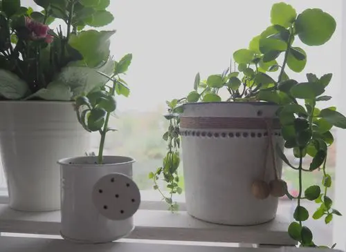 Are you taking the name of the Lord in vain?